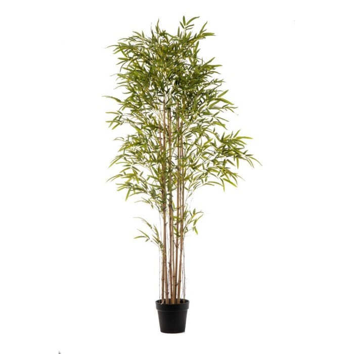 PIANTA BAMBOO 3373 FOGLIE CM.2